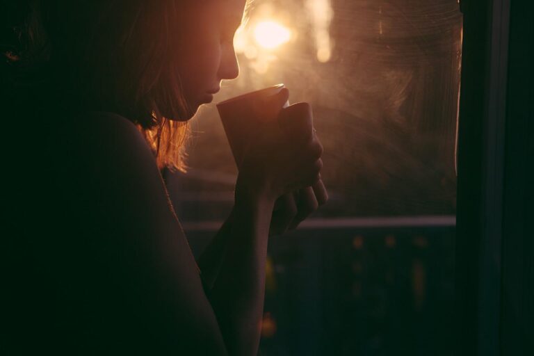Yerba Mate w torebkach – porównanie