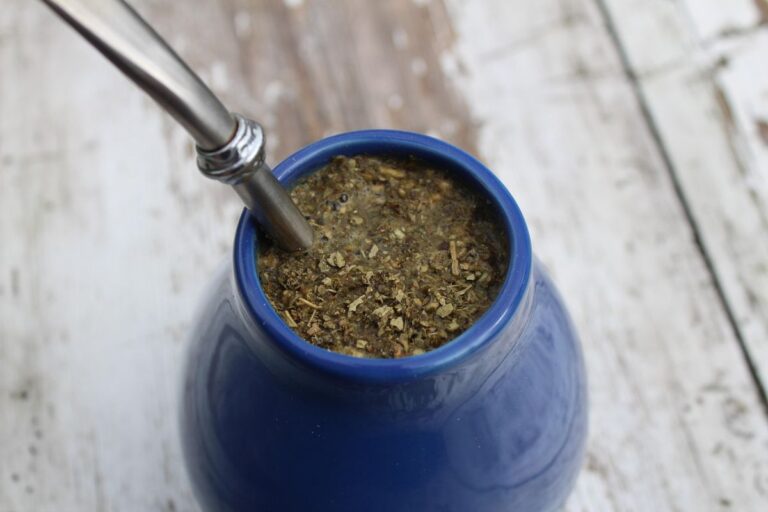Yerba Mate właściwości: układ nerwowy i trawienny – jak Yerba działa na organizm?