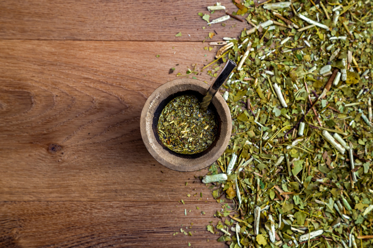 co to jest yerba mate