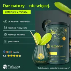 Yerba-Mate-yerbador-wlasciwosci-witaminy-mineraly-kopia-1