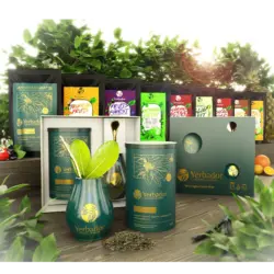 Zwstaw-prezentowy-yerba-mate-yerbador-rozne-smaki-guarana-zenszen-dzika-roza-owoce-cytrusowe-imbir-owoce-lesne-detox-fit-slim-owoce-tropikalen_wynik