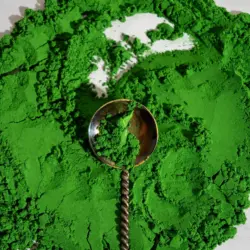 chlorella-2-scaled-e1764590471415