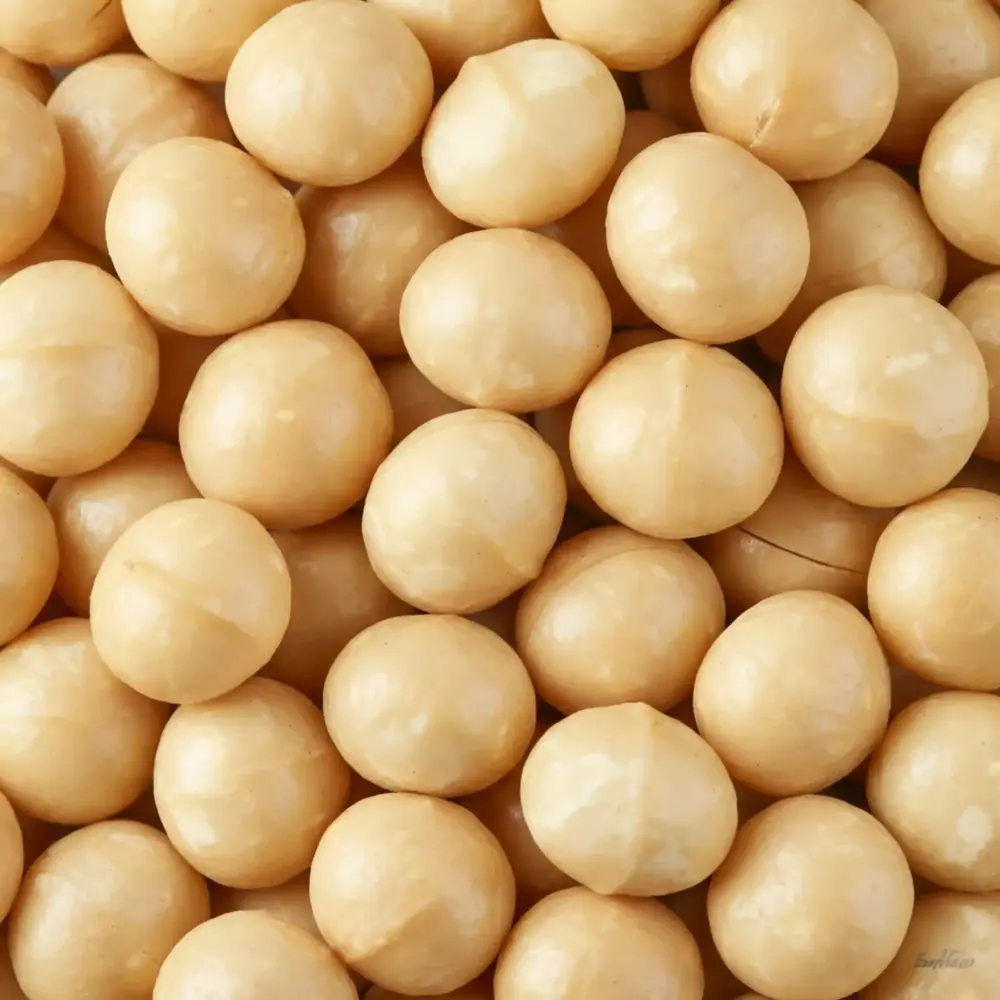makadamia makadamia