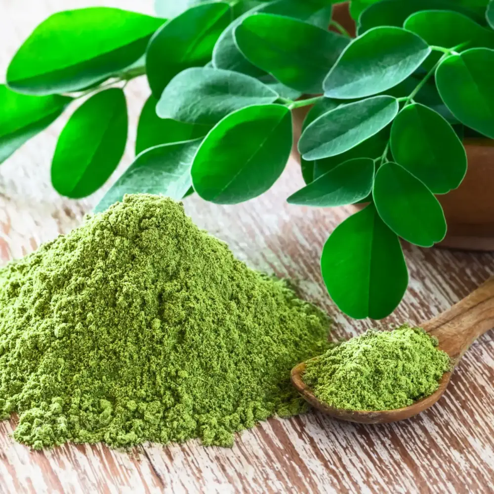 moringa-2-scaled-e1764590272213 moringa-2-scaled-e1764590272213
