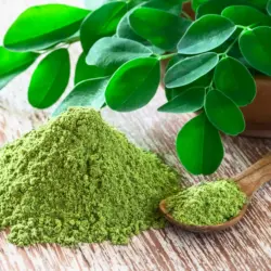 moringa-2-scaled-e1764590272213